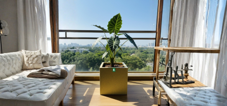 Sharp Style for Your Hyderabad Balcony: Introducing the Cubical Planter